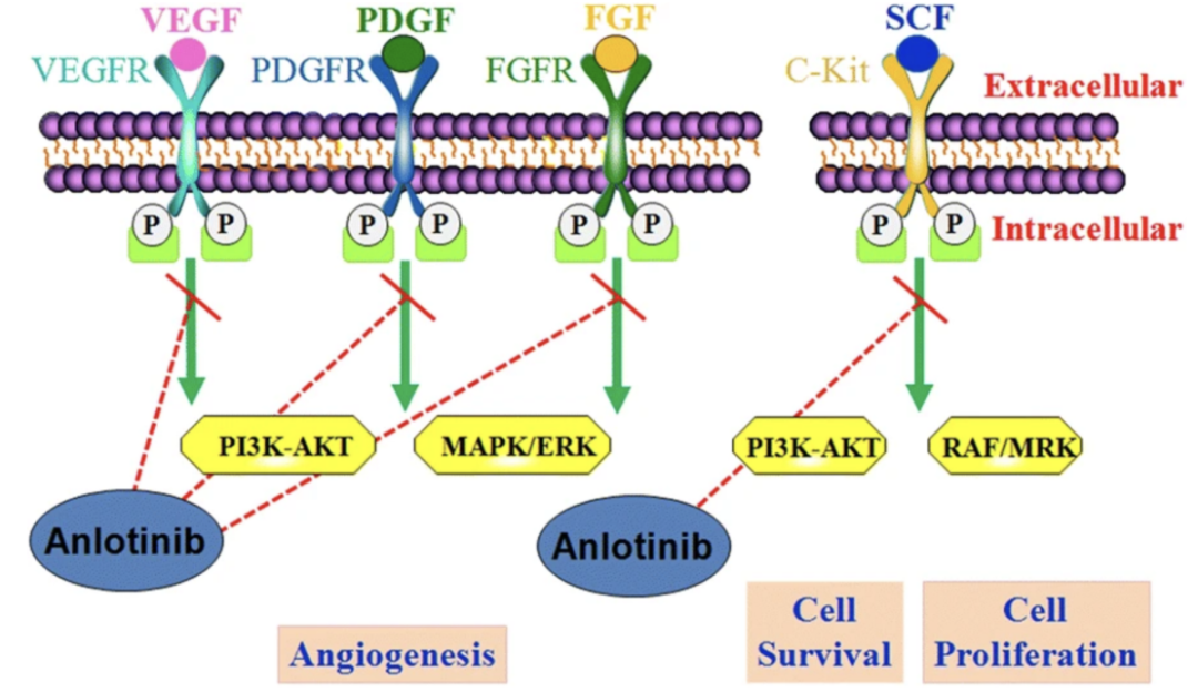 bevictorΰ�¹��� - Τ�¹ٷ���վ