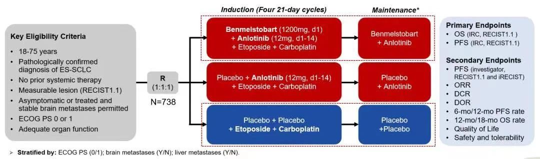 bevictorΰµÂ¹ÙÍø - ΤµÂ¹Ù·½ÍøÕ¾