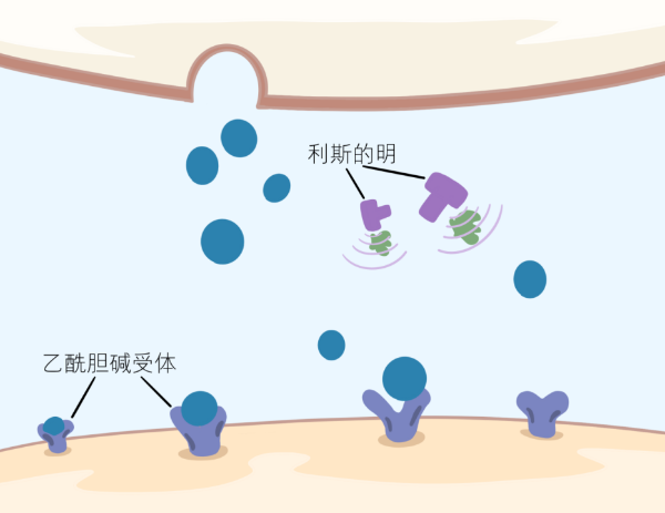 bevictorΰ�¹��� - Τ�¹ٷ���վ