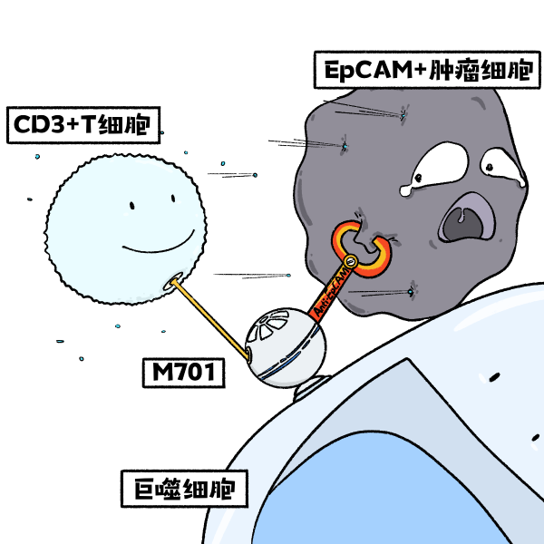 bevictorΰ�¹��� - Τ�¹ٷ���վ