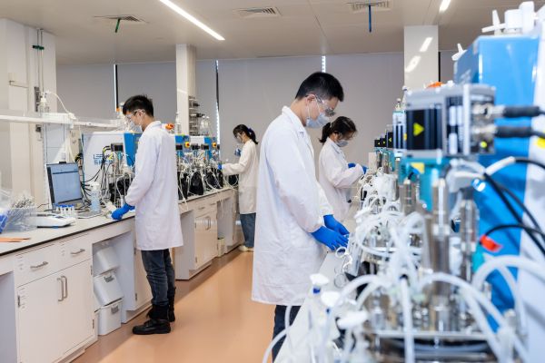 bevictorΰ�¹��� - Τ�¹ٷ���վ